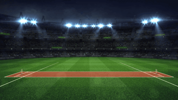 cricket-pitch