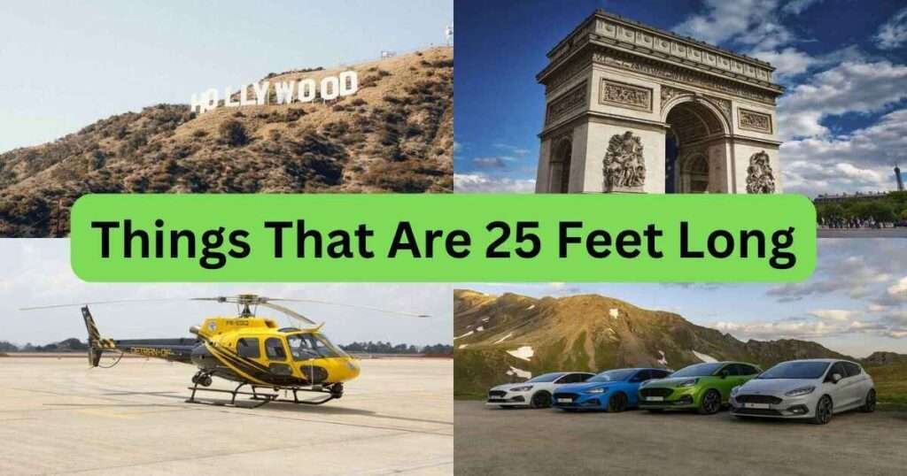 Things-That-Are-25-Feet-Long