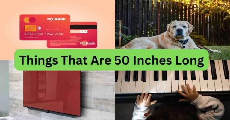 Things-That-Are-50-Inches-Long