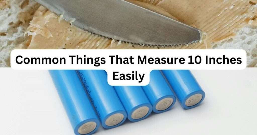 Things-That-Are-10-inches-Long