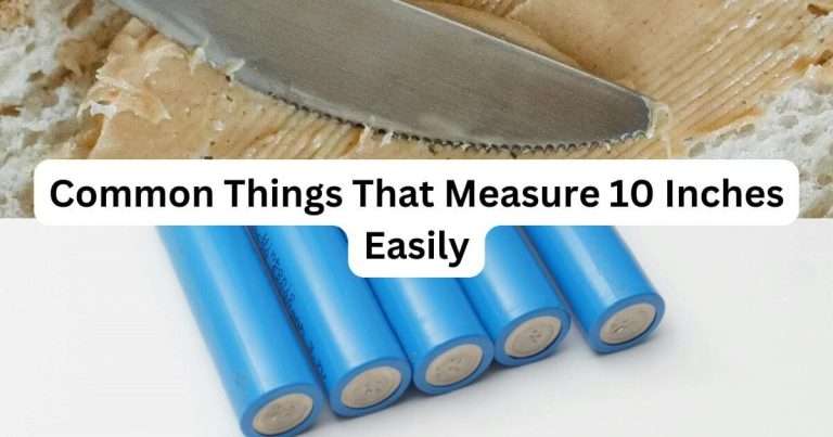 Things-That-Are-10-inches-Long