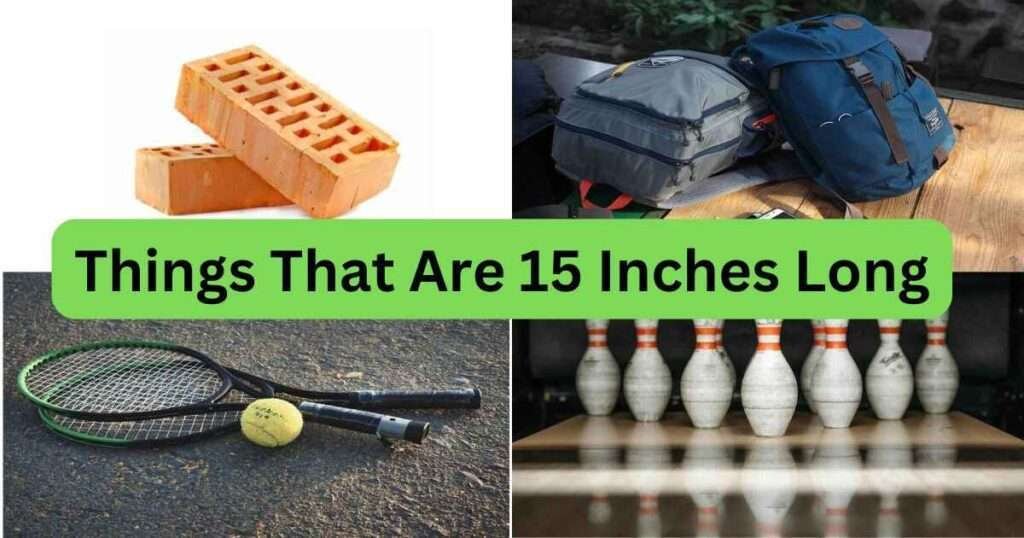 Things-That-Are-15-Inches-Long