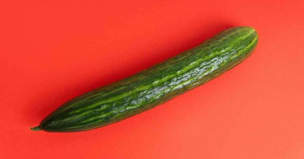 Burpless-Cucumbers