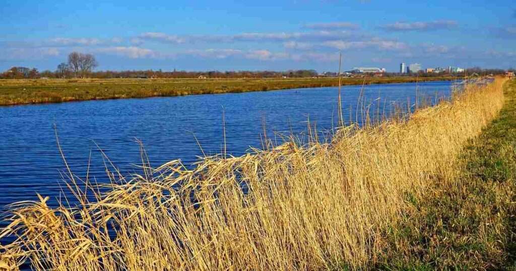 North-Shore-Canal