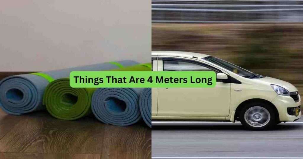 12-Things-That-Are-4-Meters-Long